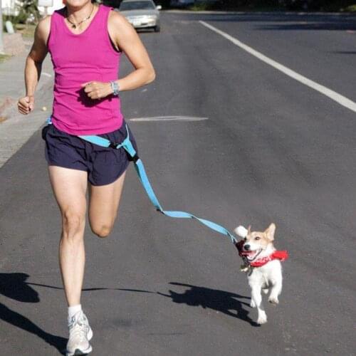 1Pcs Hands Free Dog Pets Lead Walking Running Jogging Waist Belt Leash Adjustable Special Traction Rope