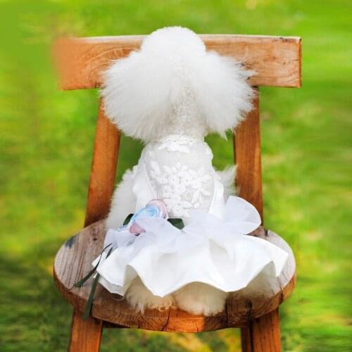 Autumn and winter new pet clothing dog clothing Korean version thickened pompous skirt evening dress wedding dress