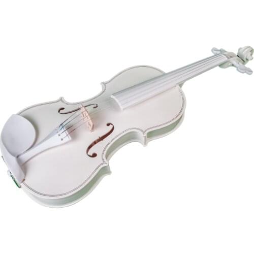 Full 4/4 Size Maple Spruce Violin with Case Bow Rosin for Students Learning，Band Show