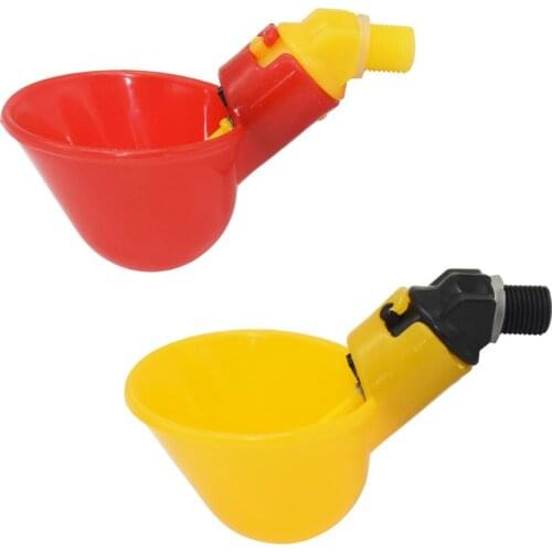 WYMBM Products For Birds