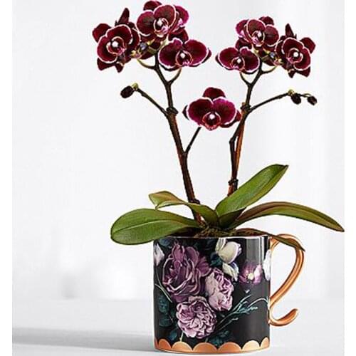 European Creative Ceramic Vase Dried Flower Flower Arrangement Accessories Multifunctional Cup Countertop Vase Home Decoration