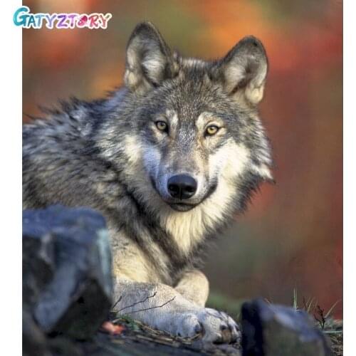 GATYZTORY Coloring By Numbers Wolf Acrylic Handpainted Wall Art Painting By Numbers For Children Home Decor Animal Kits