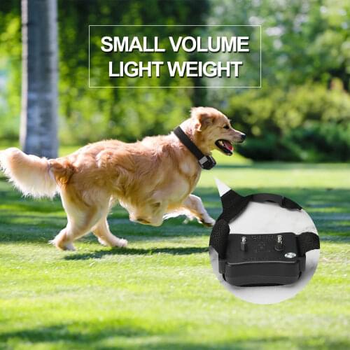 Электроошейники для собак Keebgyy China At AliExpress