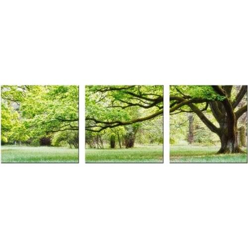 3 Piece Canvas Wall Art Green Big Pleasant Tree Painting Picture Print On Canvas poster Wall Picture For Living Room wall decor