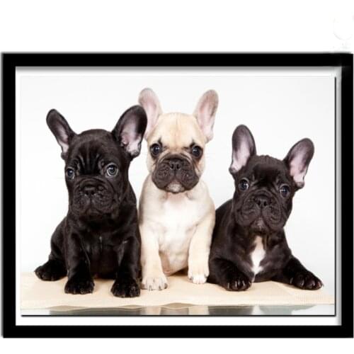 5d Diy Diamond Painting French bulldog Diamond Embroidery cute pets dog full drill square round Pictures of Rhinestones