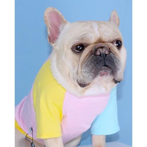 Tiger Dog New Summer Dog Clothes French Bulldog Pure Cotton T-shirt For Cat Small Medium Corgi Teddy Puppy Outfit Pet Clothing