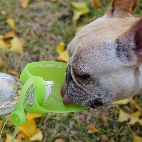 SuperDesign dog drinker 600ml leaves folding safety and environmental protection universal portable water kettle pets out