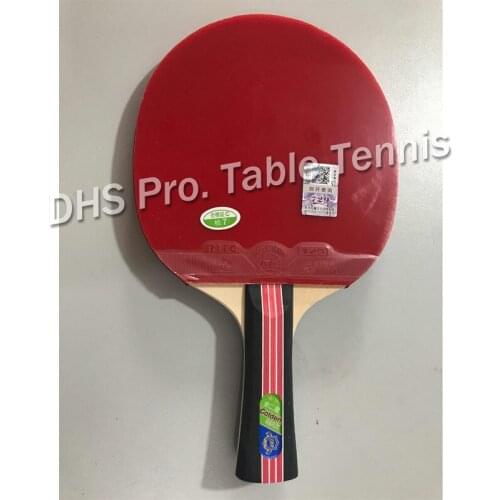 RITC 729 Friendship Gold 2 stars Y007# Pips-In Table Tennis Racket with rubbers free Case for PingPong