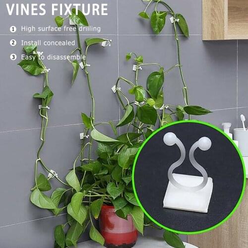 20pcs Wall Vines Fixture Wall Sticky Hook Holder Plant Stent Support Invisible Wall Rattan Clamp Clip Plant Climbing Wall Clip