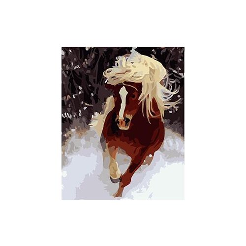 MaHuaf-W845 Wild Horse ride over water DIY Painting Kit Paint By Numbers Kit DIY Oil Painting On Canvas Gifts Wall Art