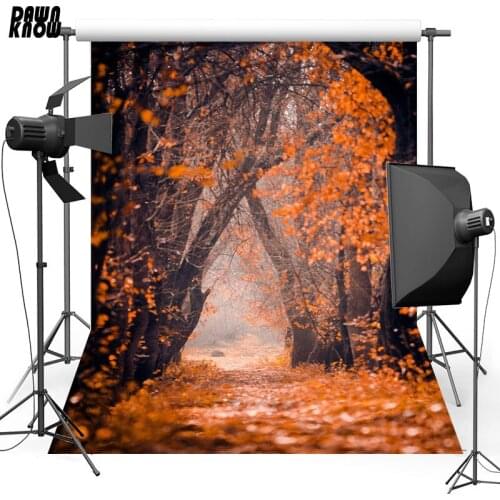 DAWNKNOW Forest Road Vinyl Photography Background For Newborn New Fabric Polyester Backdrop For Family Photo Studio S2339