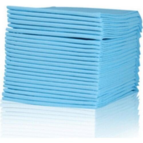 20PCS Puppy Pet Dog Indoor Cat Toilet Training Pads Absorbent 60X90CM