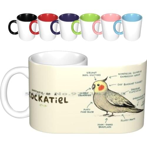 Anatomy Of A Cockatiel Ceramic Mugs Coffee Cups Milk Tea Mug Anatomy Cockatiel Anatomy Of A Cockatiel Funny Silly Cute Children
