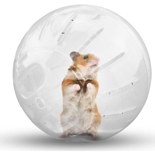 Small Animal Toy Play House Exercise Toy Pet Mice Exercise Clear Trot Ball Toy Portable Hamster Plastic Mini Jogging Ball