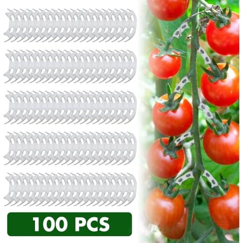 50/100pcs Plastic Plant growth clamp High-quality White Plastic Fixed Growth Clip For Gardening Plant Tomato Vine