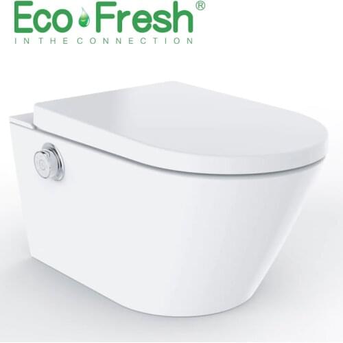Ecofresh intelligent toilet Integrated Electronic Bidet D-shape Atuo flush wall-hung and back to wall toilet storage tank WC