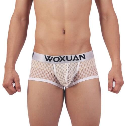 Sexy Men Boxers Shorts Mesh Transparent Breathable Underwear Cuecas Boxer Masculina Penis Pouch Lingerie Trunk Cueca Gay Panties