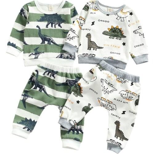 Newborn Baby Boys Clothes Set 2021 Autumn Dinosaur Print Long Sleeve Tops Sweatshirts + Pants Rib Knit Casual Boys Outfits