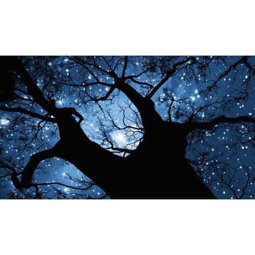 Starry Night Tree Art Film Print Silk Poster Home Wall Decor 24x36inch