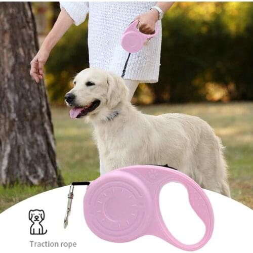 3m 5m Durable Leash Automatic Retractable Nylon Cat Lead Adjustable Walking Dog Leash Portable Outdoor Pet Training For Dogs