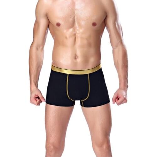 DENNYLITER 2pcs Brand Quality 2019 Underwear Men Boxer Modal Homme Boxershorts Men Boxers Sexy Male Underpants Plus Size L-3XL