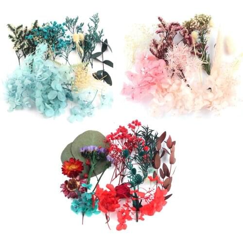 1 Pack Real Dried Flower Dry Plants For Resin Jewellery Dry Plants Pressed Flowers Making Craft DIY Photo Frame Accessories