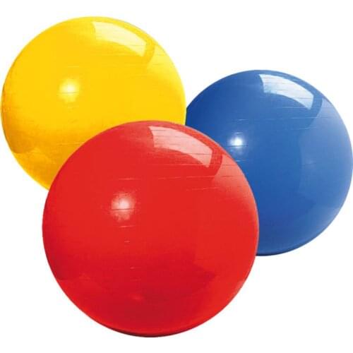 Gymnastic Ball Pilates Ball 65 cm