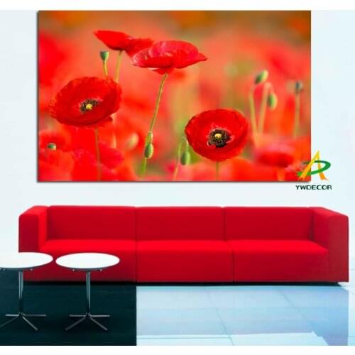 YWDECOR Orange Poppy Flower Modern Canvas Painting HD Print on Canvas Frameless Wall Picture Wall Art Living Room Home Decor