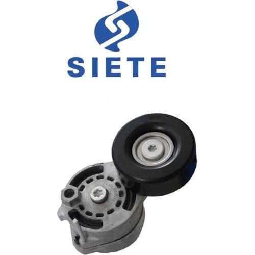 06E903133Q 06E903133G 06E903133E Belt Tensioner FOR A4 A5 A6 A8