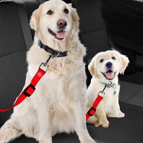 ABQP Dog Harness