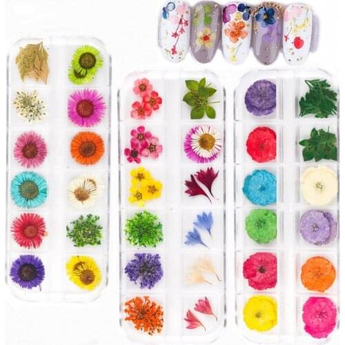 15 Styles Mix Dried Flowers Nail Decorations Jewelry Natural Floral Leaf Stickers 3d Nail Art Design Polish Manicure Accessories