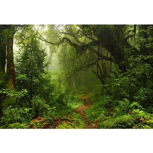 Wonderland forest kids Photo backgrounds vinyl wild photography backdrops for photo Studio Video accessories fotografia lv-830