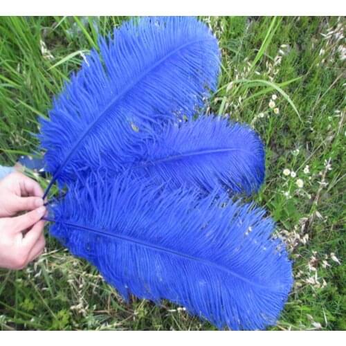 Wholesale beautiful sapphire ostrich feathers 100pcs 20-22 inches / 50-55 cm Weddings & Celebrations feathers