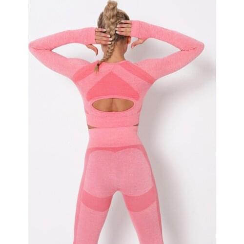 Women Fitness Seamless Tracksuit Mujer 2 Piece Set High Waist Leggings+Womens Shirt Casual Female Set New Fashion Running Set