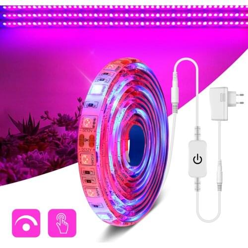 Фитолампы для растений Lcamaw China At AliExpress