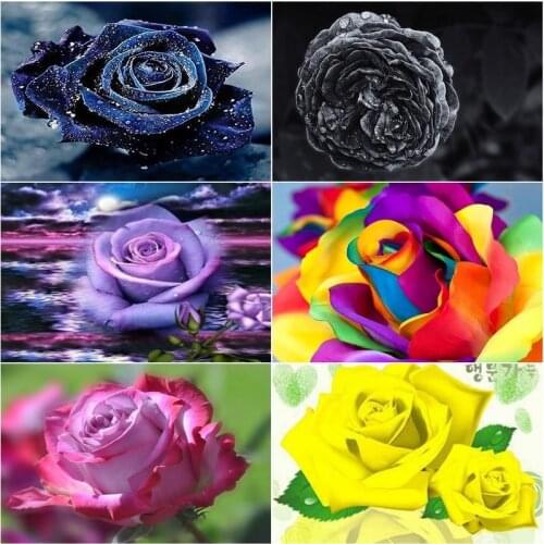 CHENISTORY 5D DIY Diamond Painting Black Rose Diamond Embroidery Polychrome Flower Rhinestones Mosaic Home Decor 40x50cm