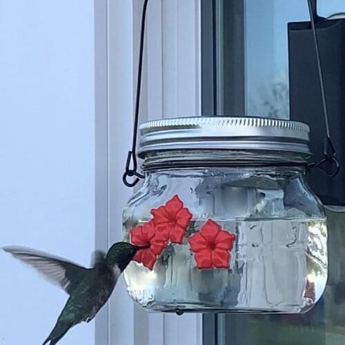Hummingbird Feeder Flower Feeder Bird Supplies Hanging Bird Feeder Flower Red Bird Feeder Plastic Automatic Bird Cups Decoration