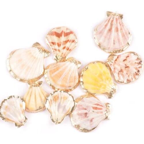 Natural Fans Seashells For Jewelry Plated Rose Gold Shells Bracelet Pendant Home Decor DIY Charm Accessories 35-45mm 5pcs tr0312