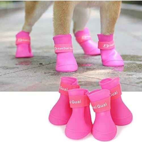 BELLHANG Shoes For Dogs