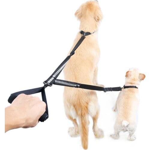 Double Head Pet Leash Heavy Duty Nylon Dog Lead with Padded Handle Two Traction Rope for Two Dogs Outside Walking Training