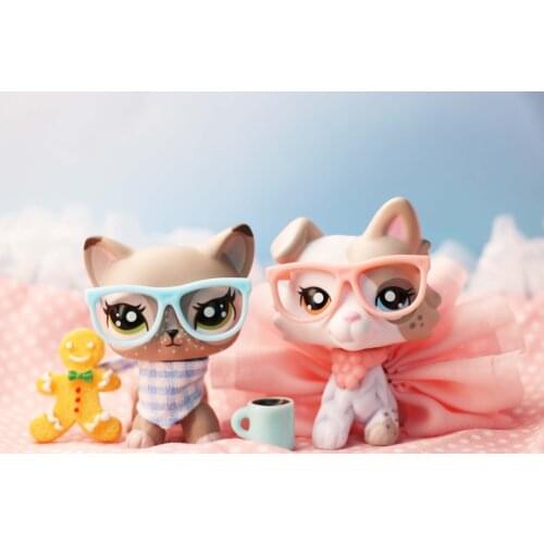 Pet Tiramisu Ear Up Collie Different Eyes Dog and Wapiti Shorthair Cat Spot Kitten Figure with Accessories