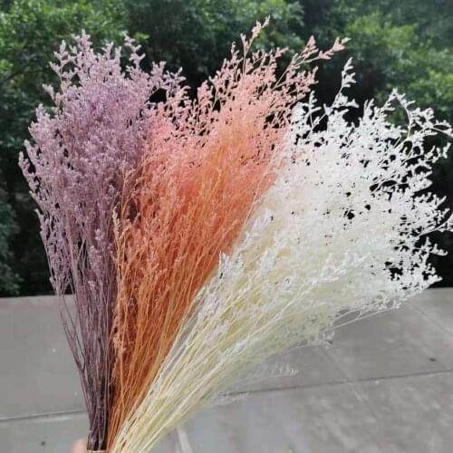 50g/40CM,Natural Fresh Preserved White Lover Grass Bouquet,Eternal Real Bleach Grass for Wedding Party Home Decor accessories