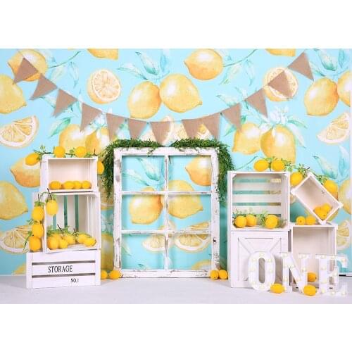 Girl 1st Birthday Photography Backdrop First Bithday Cake Smash Background Lemons Oranges Patterns Baby Portrait Photoshoot Prop