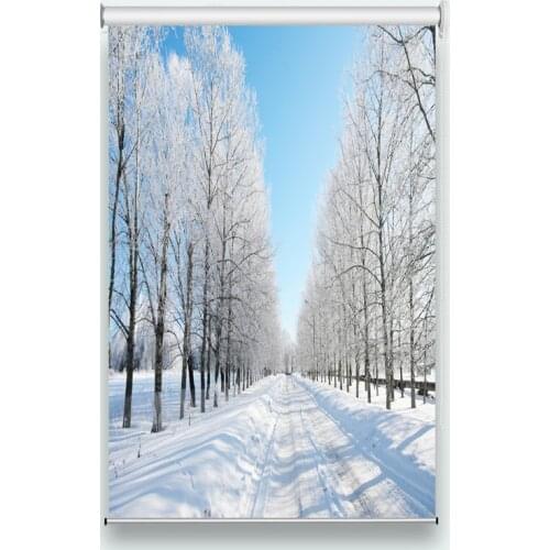 3D Photo roller blinds Heavy snow blinds for room window customized size 2019 window blinds and the curtain