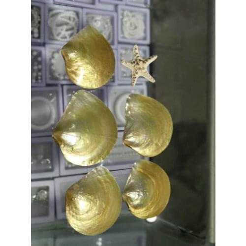 Natural pearl shell crafts beach decor coral decoration clam shell fish net fabric