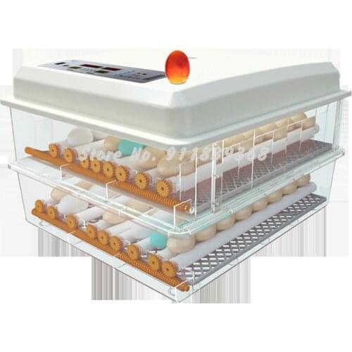 Water bed incubator automatic small household type peacock incubator duck goose pigeon chick incubator