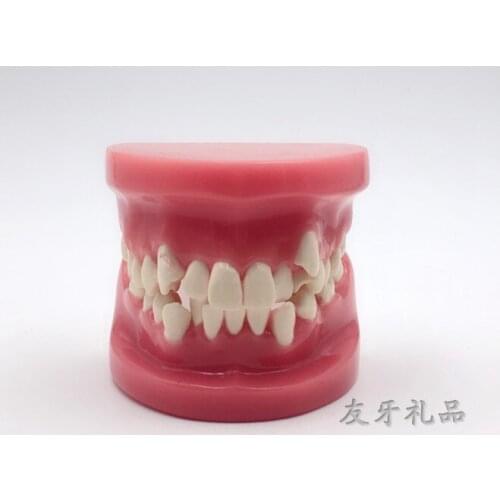 Dental correction model orthodontic practice model oral Viscosity orthodontic model