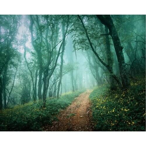Green Foggy Forest Backdrop Baby Shower Party Birthday Room Decor Photo Booth Studio Prop