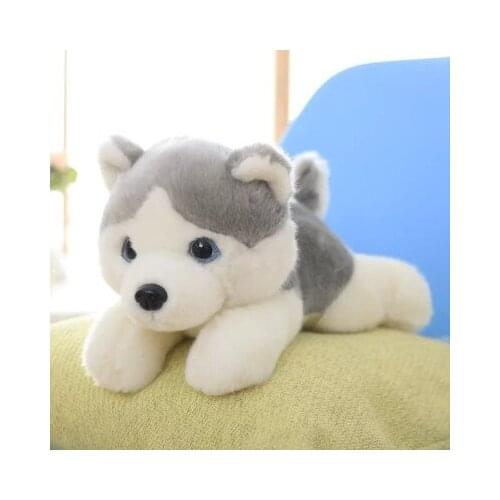 Lovey gray husky about 35 cm soft toy dog plush toy, birthday gift x138