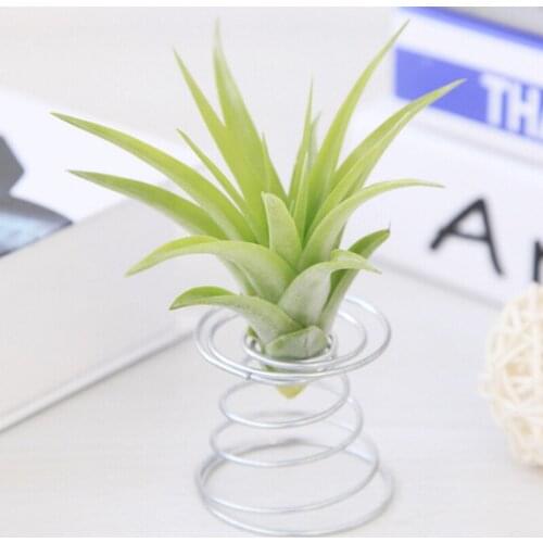 1 Pcs Stand Holder Air Pineapple Base Display Rack Flower Standbracket Stand Micro Landscape Accessories